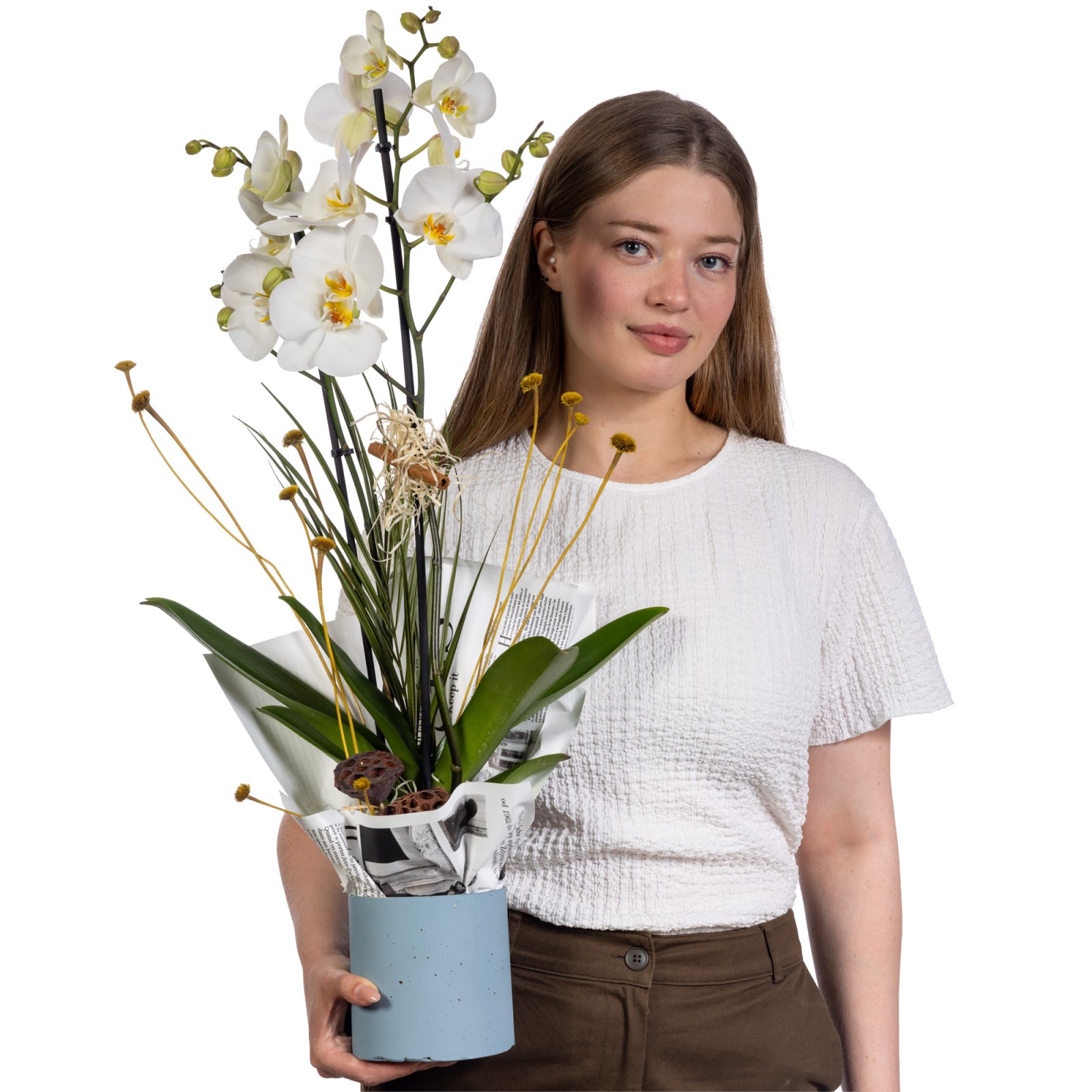 Pure Elegance 2 Dal Beyaz Orkide