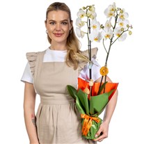 Orange Touch 2 Dal Beyaz Orkide