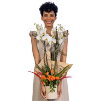 Elegant Bloom 2 Dal Beyaz Orkide