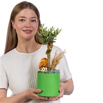 Olive Home Dream Zeytin Ağacı
