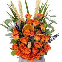 Orange Sunset Roses Güller