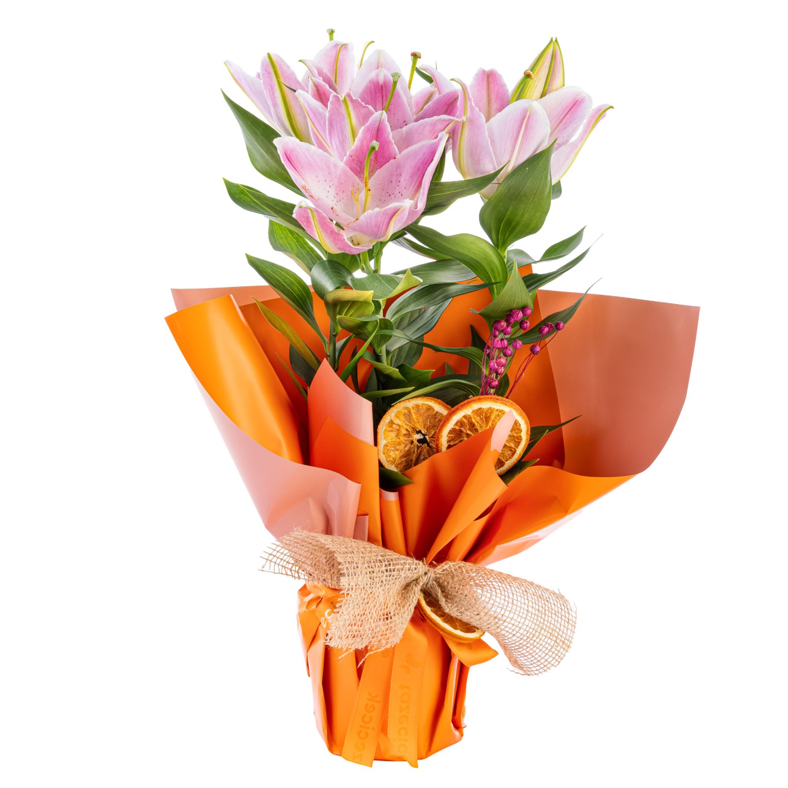 Golden Shine Lily Zambak
