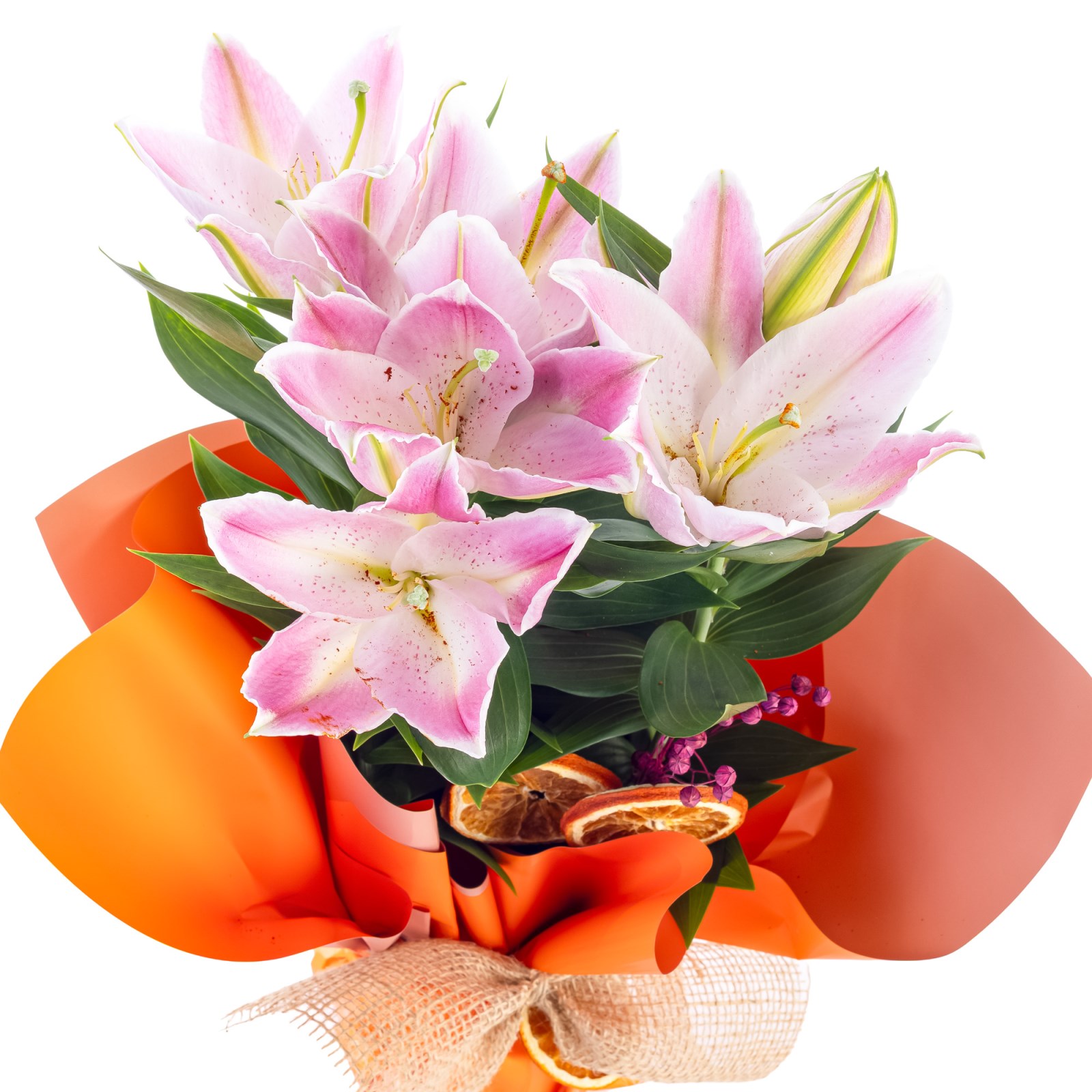 Golden Shine Lily Zambak