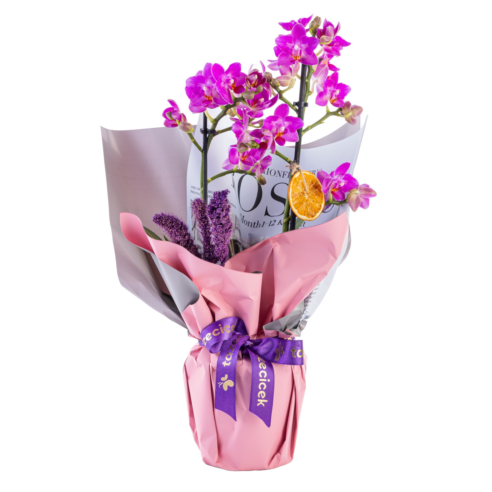 Purple Dream Midi Orkide