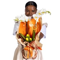 White Grace Elegance Orkide