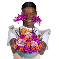 Missy Orkide Arajmanı