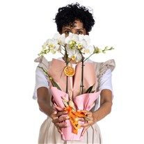 Frosty Bloom Midi Orkide