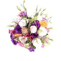 Pretty Lisyantuslar