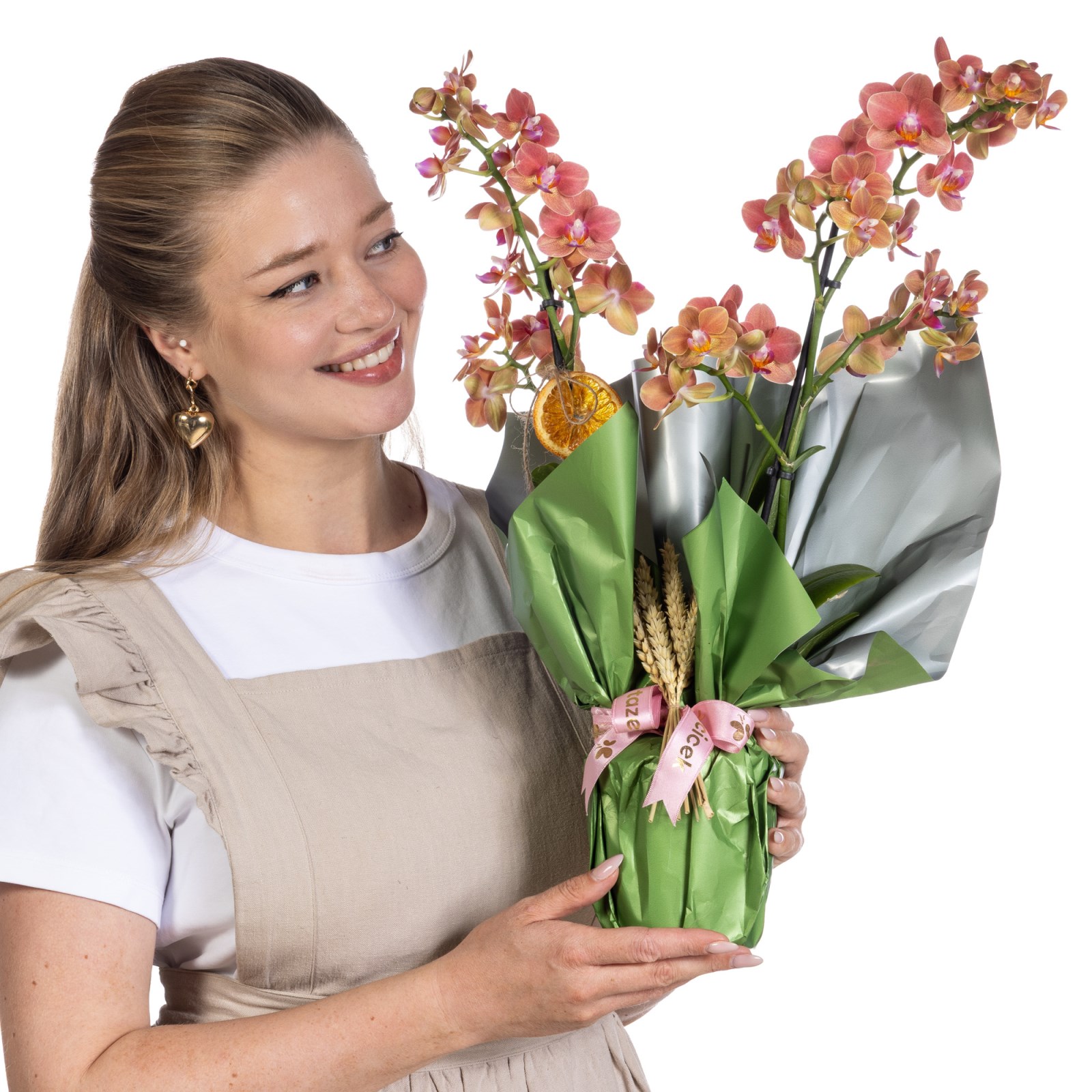Peach Harmony Orkide