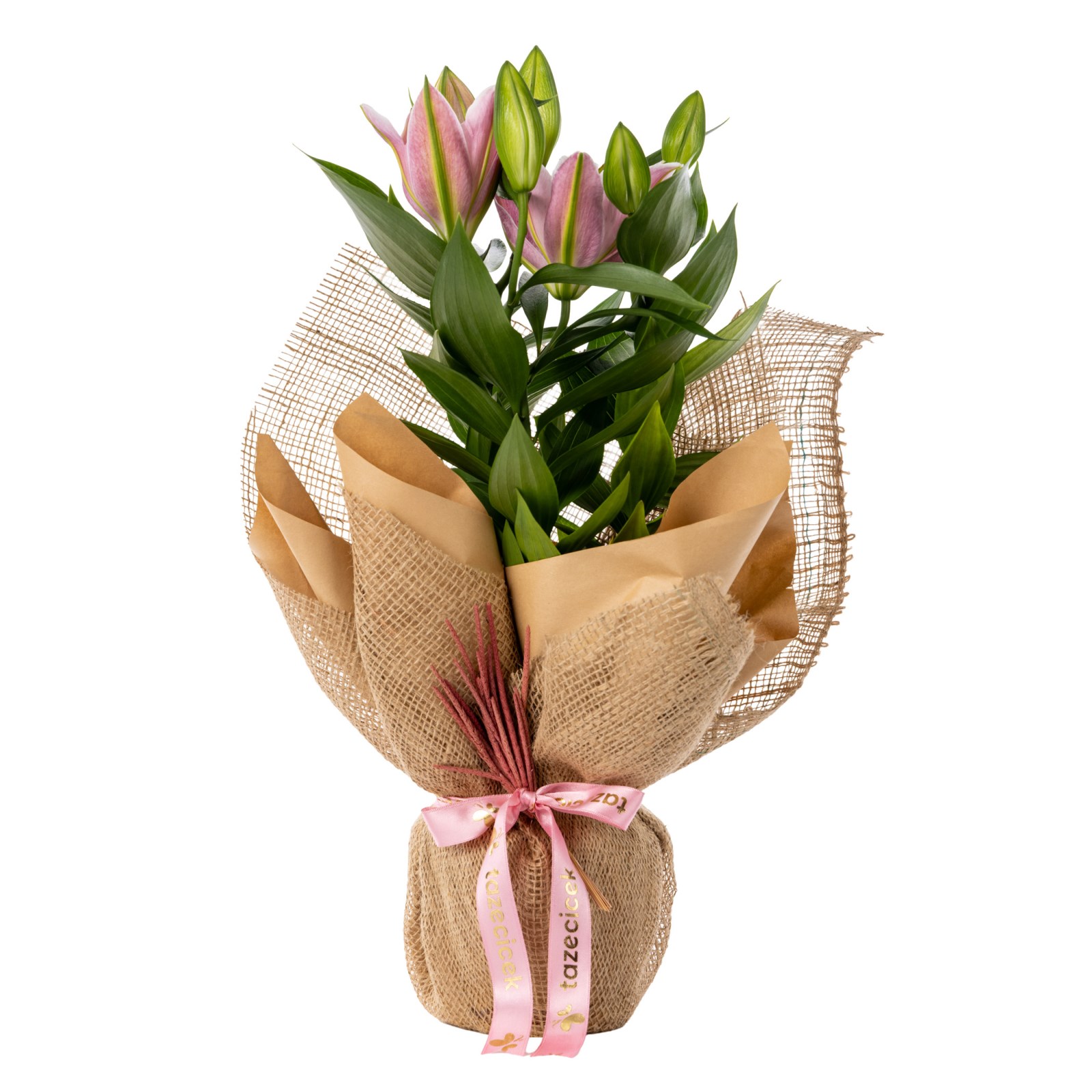 Natural Charm Lilyum