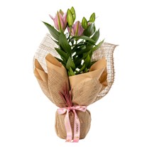 Natural Charm Lilyum