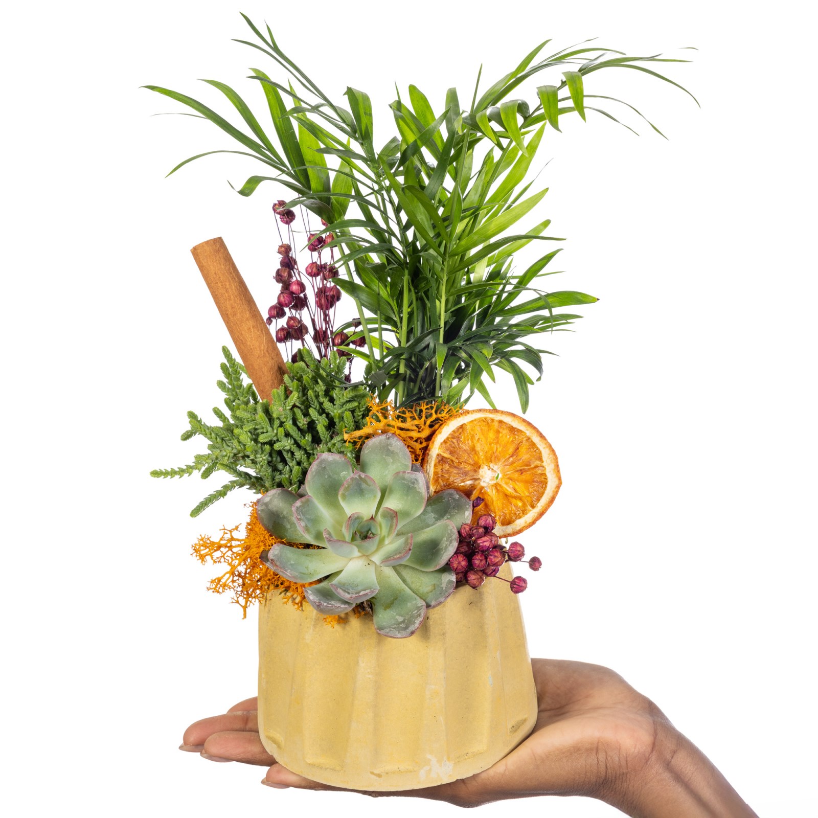 Small Botanical