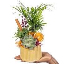 Small Botanical