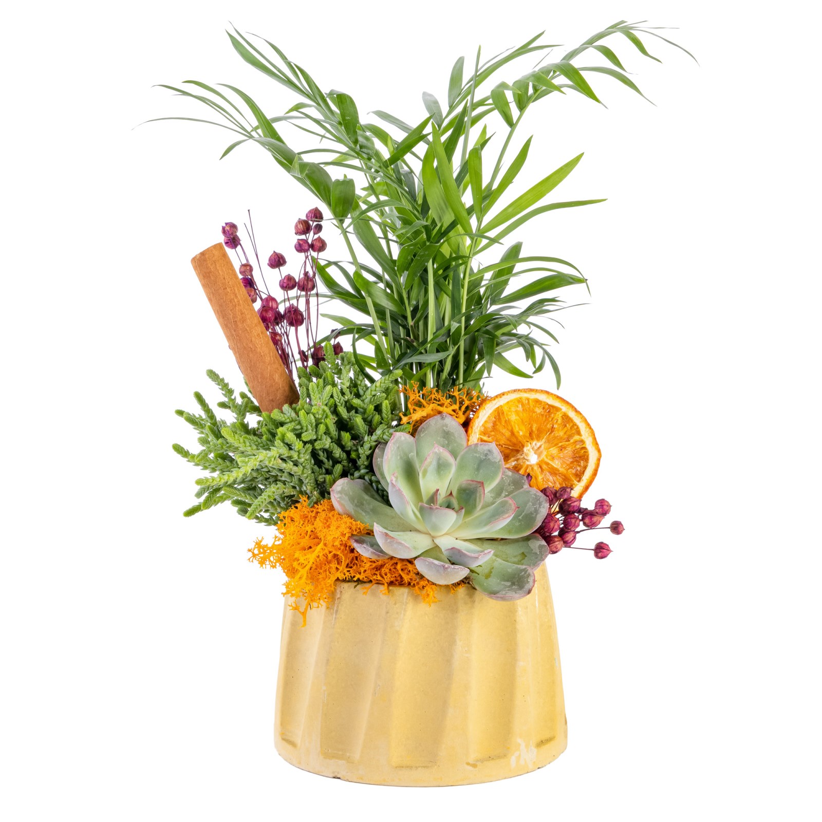 Small Botanical