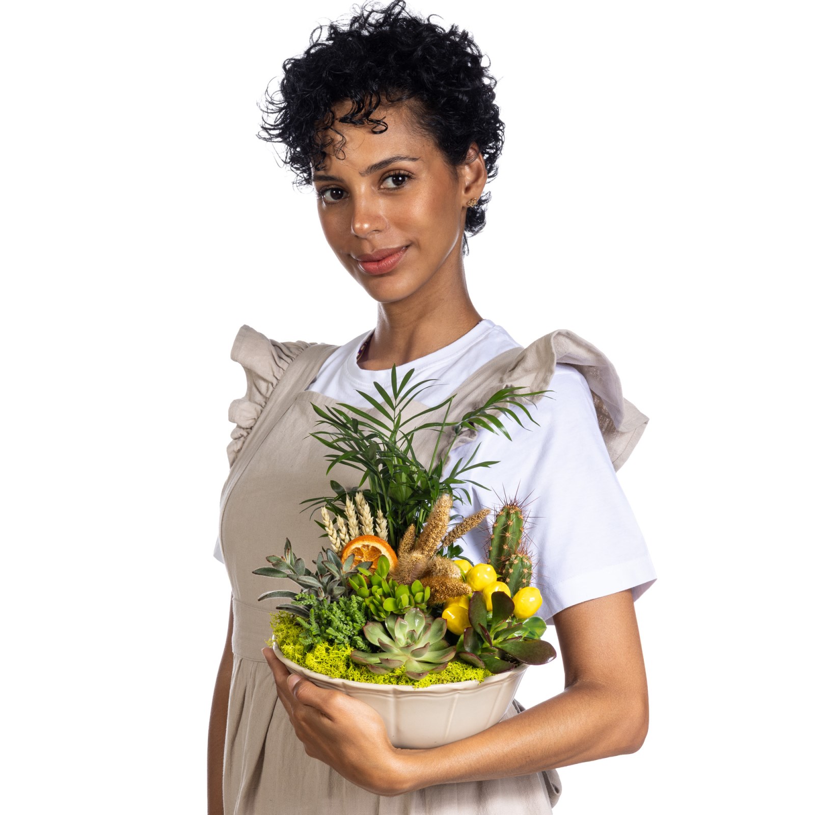 Tropicana Harmony Sukulent