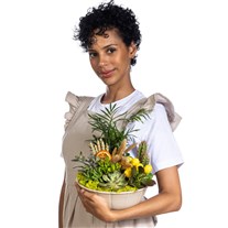 Tropicana Harmony Sukulent