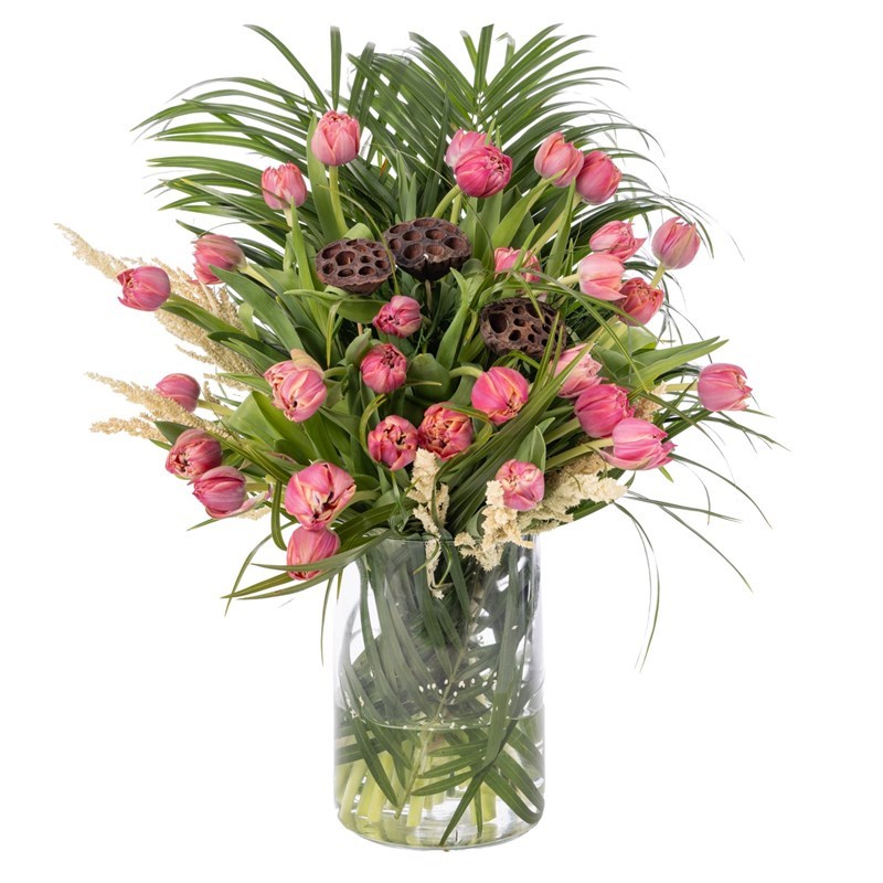Spring Bloom Tulip
