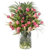 Spring Bloom Tulip