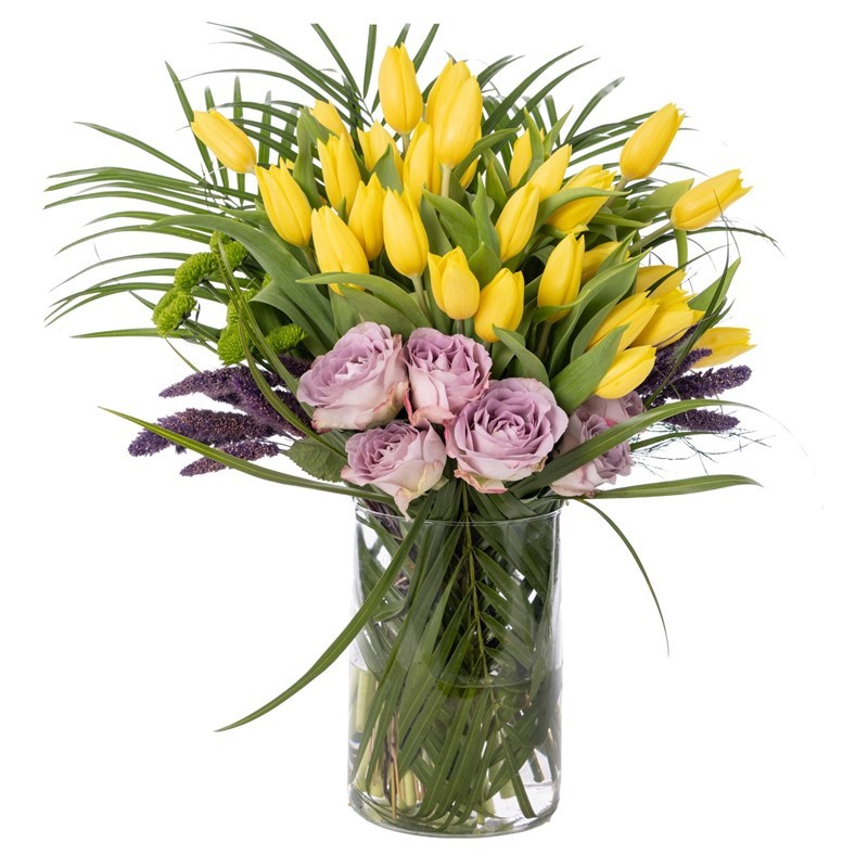 Radiant Yellow Tulip