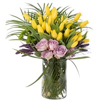 Radiant Yellow Tulip