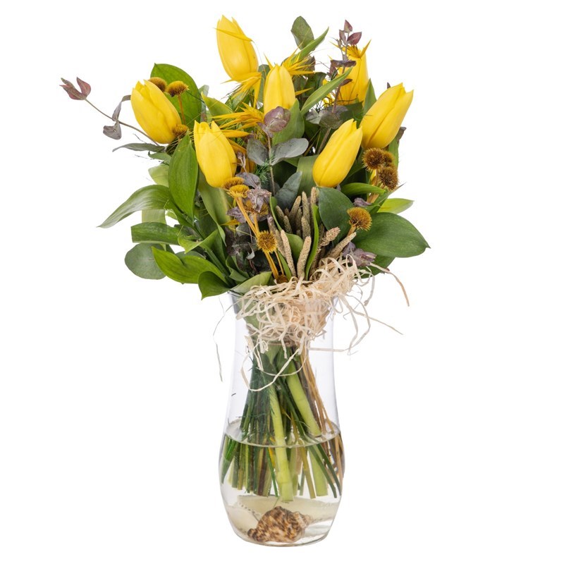 Yellow Whisper Tulip Elegance