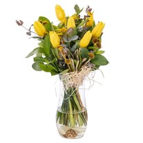Yellow Whisper Tulip Elegance