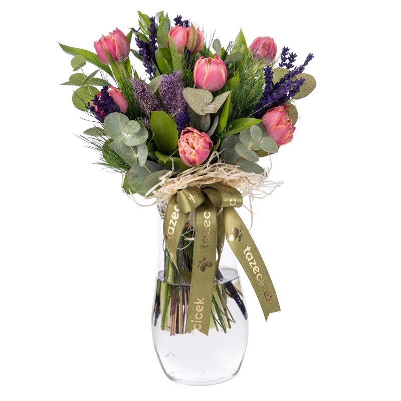Amour Pink Tulip 