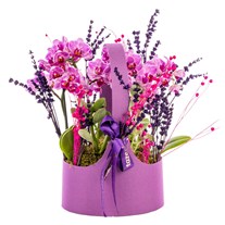 Scented Orchid Orkide Çantası