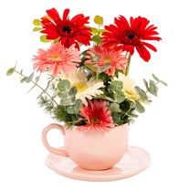Cheerful Bloom Gerbera Aranjmanı