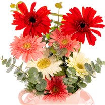 Cheerful Bloom Gerbera Aranjmanı