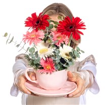 Cheerful Bloom Gerbera Aranjmanı