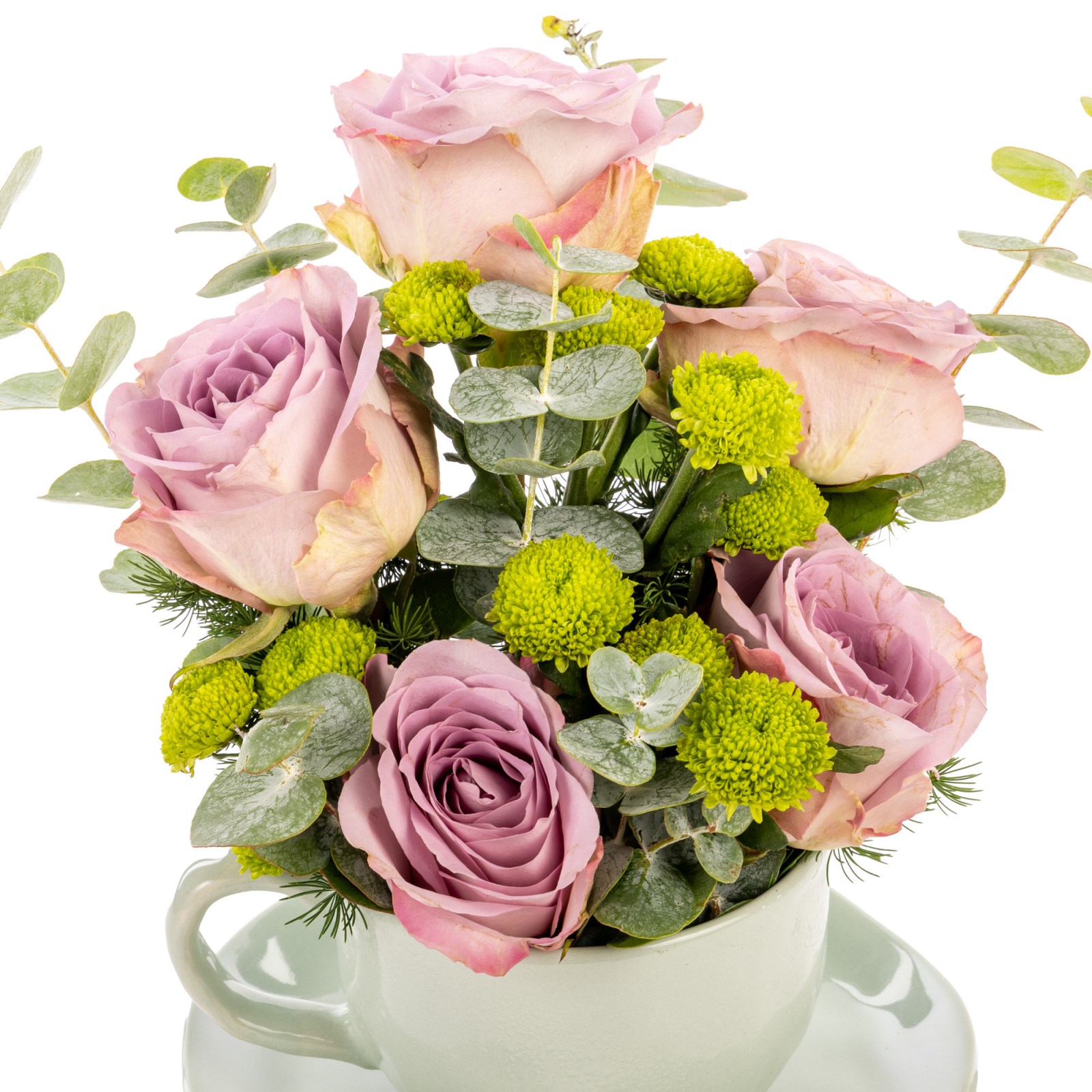 Bloomy Cup Lila Güler