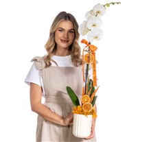 Golden Aura Tek Dal Beyaz Orkide