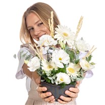 Pure Elegance Bowl Gerbera Aranjman