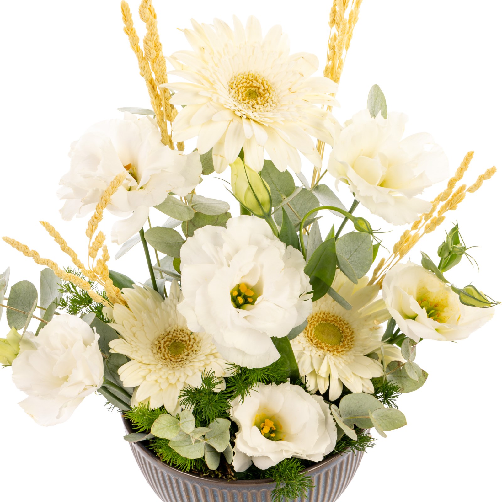 Pure Elegance Bowl Gerbera Aranjman