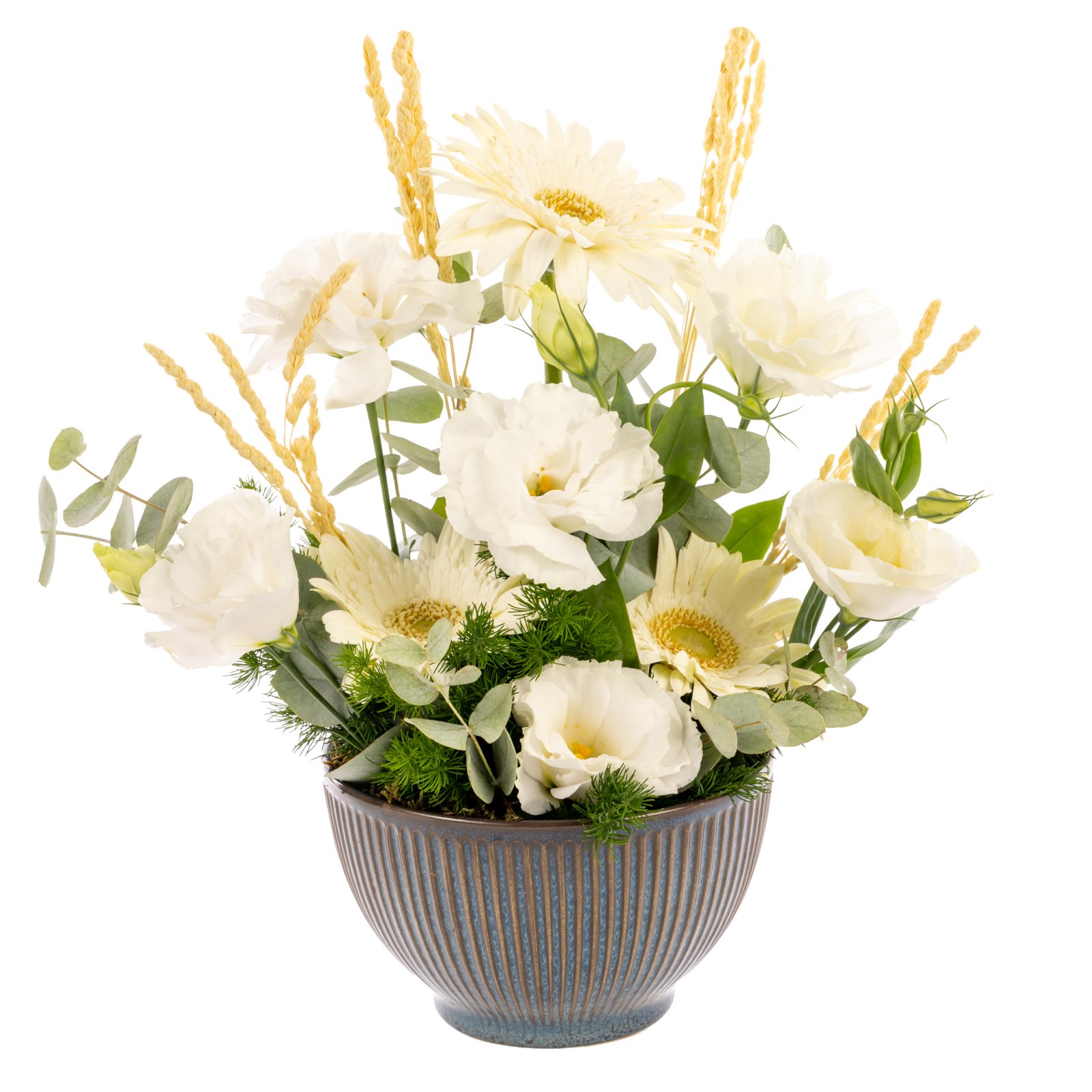 Pure Elegance Bowl Gerbera Aranjman
