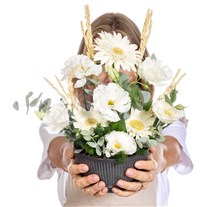 Pure Elegance Bowl Gerbera Aranjman