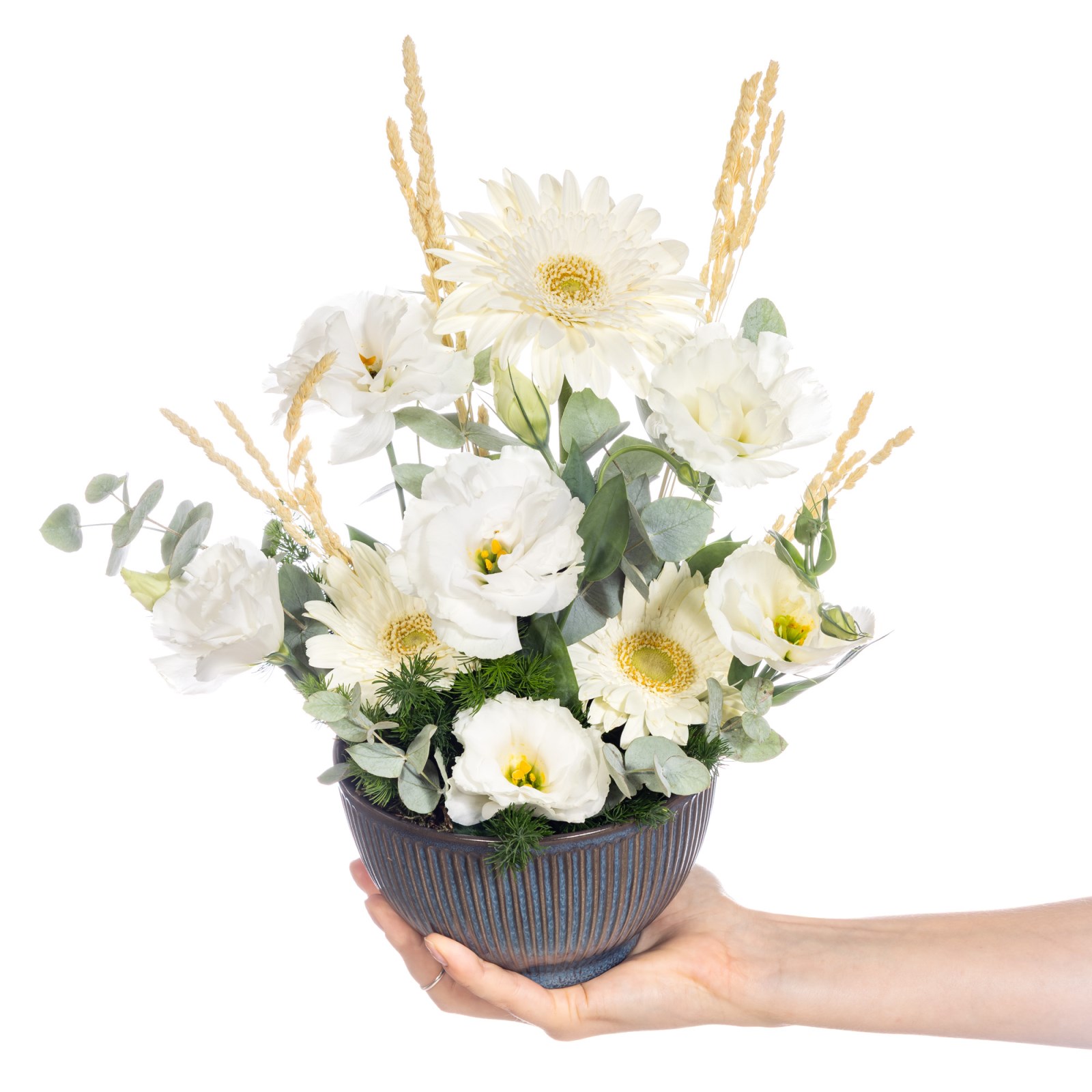Pure Elegance Bowl Gerbera Aranjman