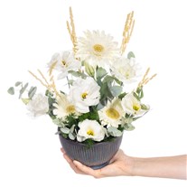 Pure Elegance Bowl Gerbera Aranjman