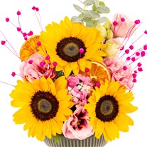 Happy Mood Bowl Ayçiçeği
