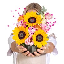 Happy Mood Bowl Ayçiçeği