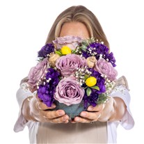 Etnik Purple Haze Güller