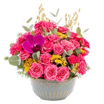 Sunrise Bloom Pembe Çardak Güller