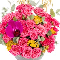Sunrise Bloom Pembe Çardak Güller