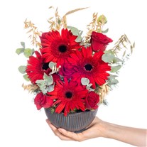 Red Motion Kırmızı Gerbera & Güller