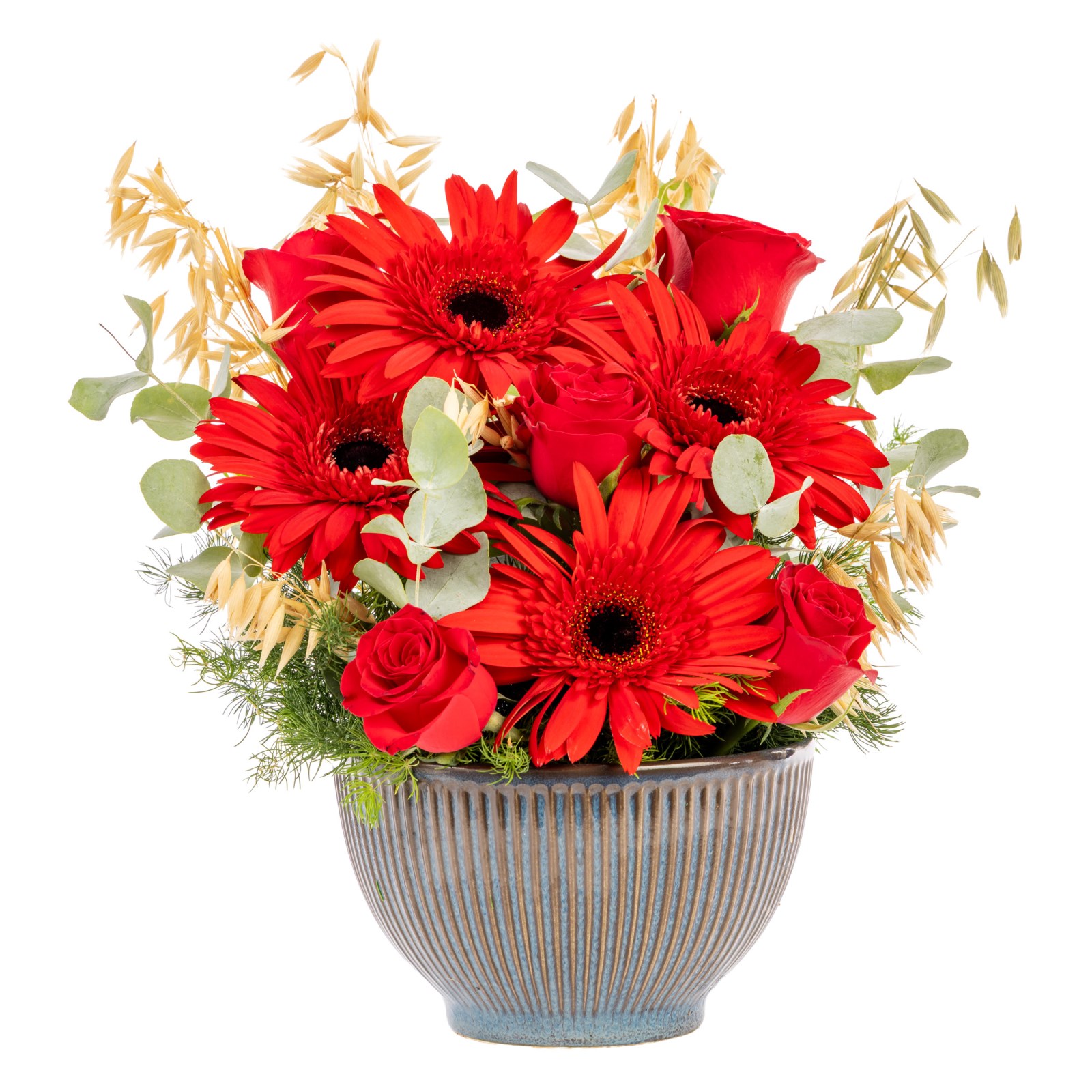 Red Motion Kırmızı Gerbera & Güller
