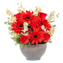 Red Motion Kırmızı Gerbera & Güller