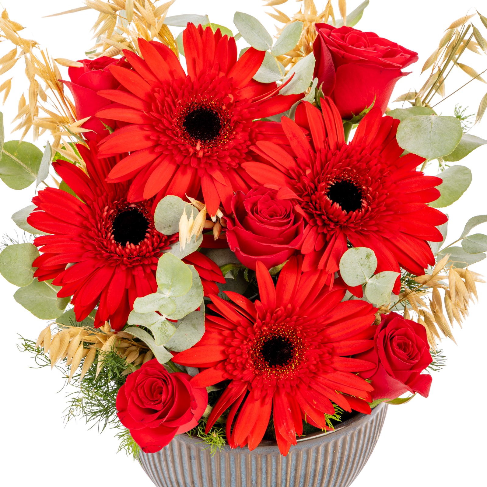 Red Motion Kırmızı Gerbera & Güller