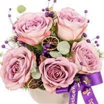 Lavender Dream Lila Güller
