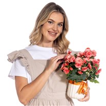 Coral Charm Begonya Bitkisi